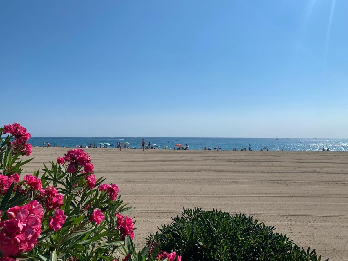 Superbe Appartement Neuf Entre Mer Et Pins Wifi 아르젤레쉬르메르 외부 사진
